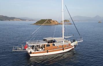 Sea Rose
