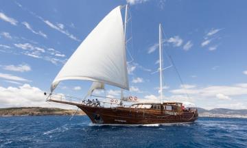 7 kabinli Bodrum mavi yolculuk teknesi Gulet Afroditi