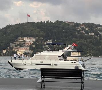Lady MırMır
